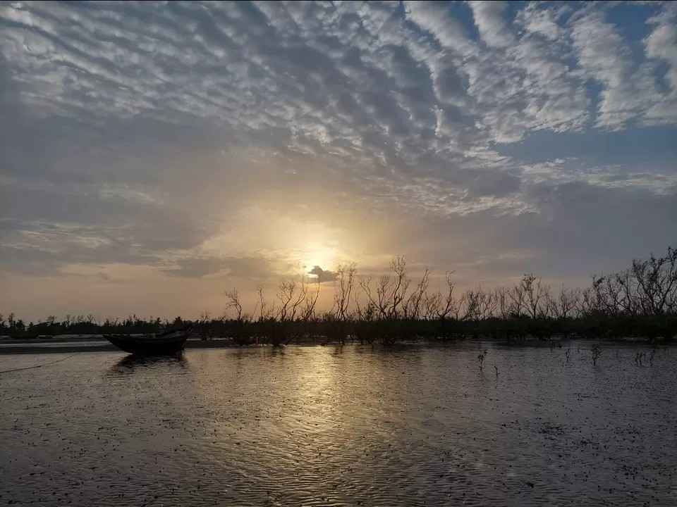 About The Dolphin Camp – Best Beach Resort in Mousuni Island